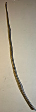 Natural White Pine Wand Hand Shaped Forest Wand Ritual Staff Primitive Magical picture