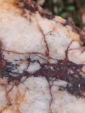 High Grade Gold Ore Slab Blue Mtn Mine *Limited Supply* picture