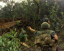 U.S. Infantry on a Search and Destroy Mission, Hut, 8x10 Vietnam War Photo 678 picture