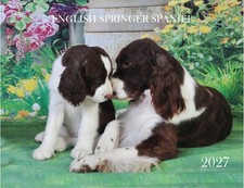 2027 ENGLISH SPRINGER SPANIEL CALENDAR picture
