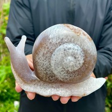 1.8LB   Hand Carved Agate Amethyst Druzy Snail Crystal Animal Statue Healin picture