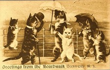 Ocean City NJ Boardwalk Cats Postcard Vintage Anthropomorphic Kitten Comic 1908 picture