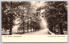 Vintage Old Antique Postcard The Avenue Trees Road Southampton United Kingdom picture