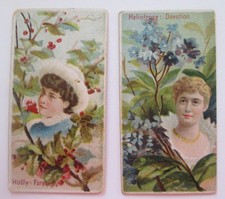 4 ANTIQUE 1880’s DUKE Tobacco Trade Cards 2 Flowers and 2 Governors picture