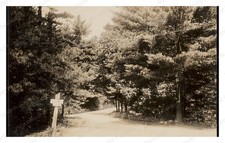 Sharon Massachusetts 1900s Norwood Street Road Sign Trees Standard Postcard picture