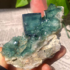 250G  Natural Green FLUORITE Quartz Crystal Cluster Mineral Specimen picture