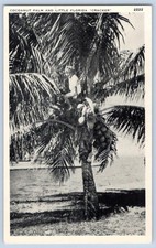 1910-20's LITTLE FLORIDA 
