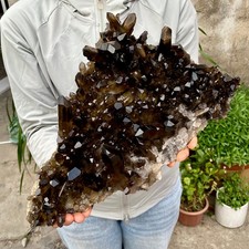 10.44LB Large Natural Smoky Black Quartz Cluster Crystal Specimen Healing picture