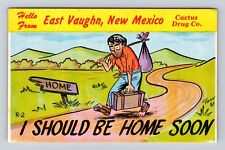 East Vaughn NM- New Mexico, Cartoon General Greetings, Vintage Souvenir Postcard picture