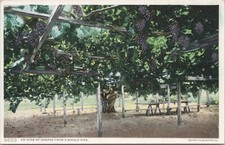 Lithograph ** California Scene 