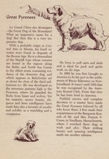 Great Pyrenees - CUSTOM MATTED - Vintage Antique Dog Art Print - 1954 M. Dennis picture
