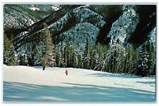 c1960 Scenic View Winter Delight Trail Red River New Mexico NM Unposted Postcard picture