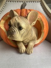 NEW Charming Figurine  French Bulldog Puppy Peeking Out Of Pumpkin .QUALITY picture