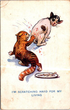 (2730) 30-5-2026 - Humour (very old) CATS  / Chats picture