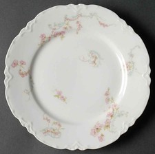 Haviland Schleiger 63B Luncheon Plate 2476374 picture