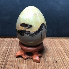 172g natural turtle back stone egg shape dragon crystal   Specimen +base fb2003 picture