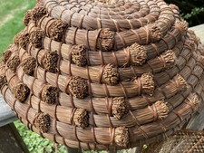 Antique Papago Pine Needle Basket 13