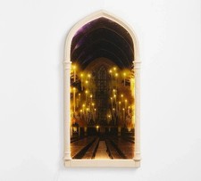 New Pottery Barn Harry Potter Lit Mirror Door 20x42 Light Up Hologram Decor picture