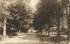 SOUTH MAIN STREET original real photo postcard rppc DELANSON NEW YORK NY c1910 picture