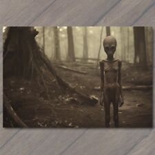 POSTCARD Weird Creepy Alien Alone Encounter Unusual Woods Strange Being Cult picture