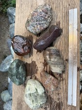 7 Pc Mixed Lapidary Rough Rock Lot Red Green Jasper-Like Trinity River picture