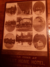 SYLVAN BEACH NY 1885 FOREST HOME HOTEL ADVERTISING CABINET CARD ONEIDA LAKE NY picture