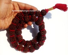 RARE 5 Mukhi Rudraksha Five Face Rudraksh 32+1 Nepal 20-22 MM Beads Kantha mala picture