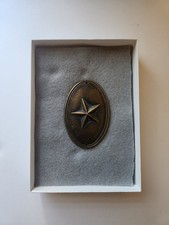 Authentic Civil War 1st Texas Cavalry Breast Plate picture
