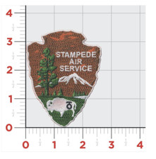 MARINE CORPS MCAS CAMP PENDLETON STAMPEDE AIR HOOK & LOOP EMBROIDERED PATCH picture