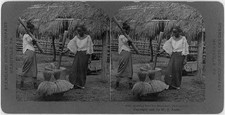 Photo:Philippines 1906 Women Hulling Rice for Breakfast Stereograph picture