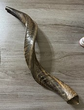 Polished Yemenite Shofar Horn Carrying Case, Small Bottle Brush Made in Israel picture