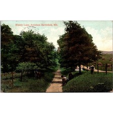 Bloody Lane Antietam Battlefield MD 1908 Vintage Postcard SP6-22 picture