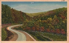 Vintage Postcard 1961 Greetings From Crowell Texas Roadway Forest Trees Mountain picture