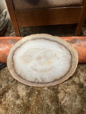 Louisiana, USA PALM WOOD Petrified wood specimen from complete root, very rare picture