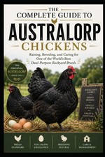 The Complete Guide to Australorp Chickens Raising, Breeding, and Caring for One picture