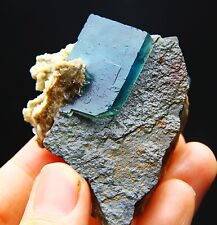 146 g natural large particle cubic blue-green fluorite specimen/China picture