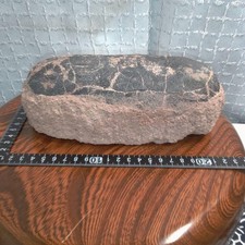 Antique 13 fossil Egg Antique vintage collectible picture