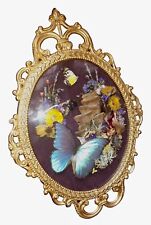 Real Taxidermy W/ Butterflies Ornate Convex Glass Frame Cottagecore Blue Morpro picture