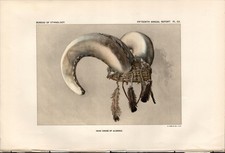 1895 HOPI INDIAN HEAD DRESS antique Native American print BUREAU OF ETHNOLOGY picture