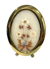 Vintage Oval Framed oval gold tone frame CottageCore Pressed Dry Flowers daisy picture