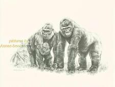 #181 GORILLA FAMILY wild life art print  * Pen and ink drawing by Jan Jellins picture