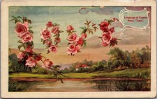 1908 Language of Flowers Rose Love Postcard Rockton WI to Topeka KS Antique picture
