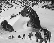 Climbers Descending Mt. Hood Photograph Above Timberline Oregon 1957 8x10 Print picture