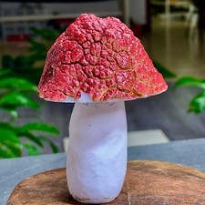 195G Natural gobi agate Matsutake mushroom crystal Mineral Specimen picture