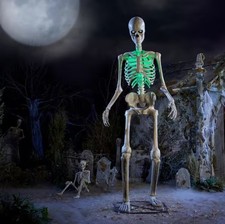 12-FT Animated LED Skelly Halloween Skeleton App Controlled LifeEyes Yard Decor. picture