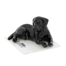 ➸ LITTLE CRITTERZ Dog Miniature Figurine Labrador Retriever Lab Black Jack picture