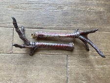 Real Wild Eastern Hen Turkey Feet Legs Taxidermy picture