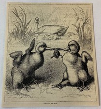 1879 magazine engraving ~ TWO DUCKLINGS FIGHTING OVER A FROG picture