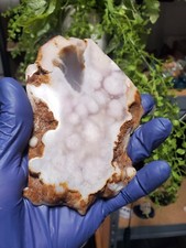 242g Beautiful Flower Agate Slice Slab Crystal Quartz Energy Healing Crystal picture