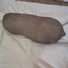 Jolly Green Giants pea pod. its a fossilized ?? picture
